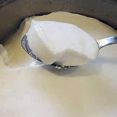 Sour Cream Culture