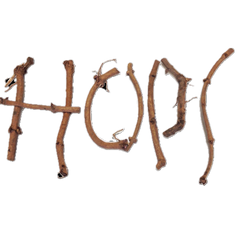 Collection image for: Hop Rhizomes