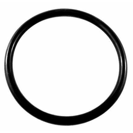 Cornelius Keg Lid O-ring