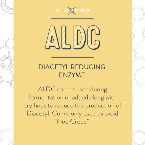 CellarScience® ALDC 1 oz. | Diacetyl Reducing Enzyme