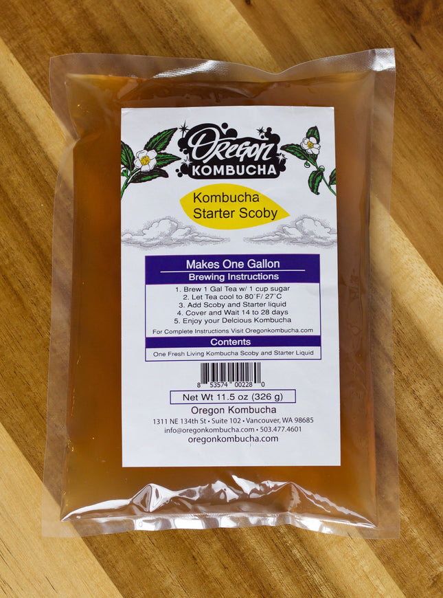 Kombucha Starter SCOBY