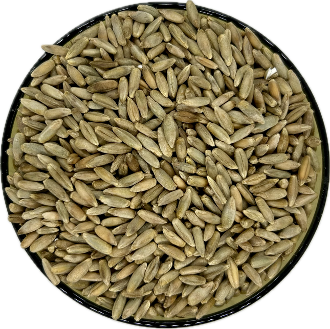 Organic Rye Berries
