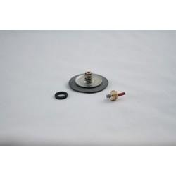 2'' Flat Seal, Regulator Repair Kit