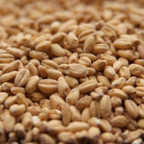 Rahr White Wheat Malt - 55 pound bag