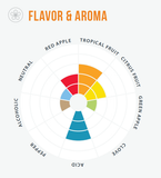 Wildbrew Philly Sour yeast flavor aroma wheel