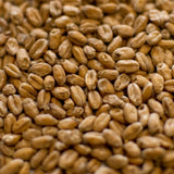 Dingemans Wheat Malt - 55 pound bag