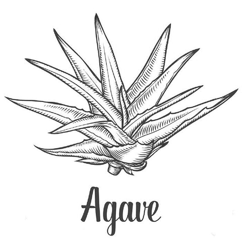 Premium Agave Syrup - 55 pounds